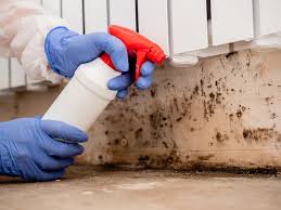 Best Asbestos and Lead Testing During Mold Inspection in Healdsburg, CA